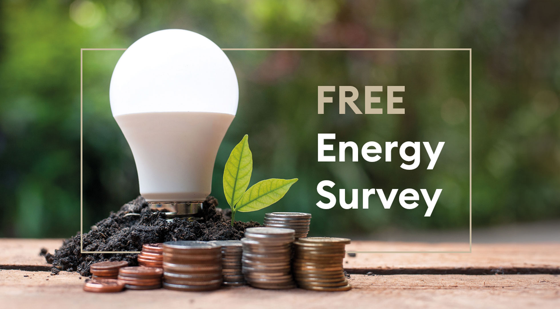 Engery-Survey-2 Engery-Survey-2